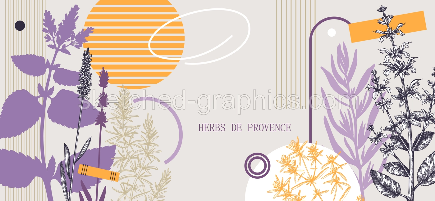 Collage-style Provence herbs background. Herbal plants hand-drawn vector illustrations. Artistic frame with sage, peppermint, rosemary, lavender sketches. NOT AI generated Illustration